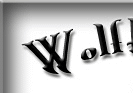 WolfHeart Miniature Donkey Ranch