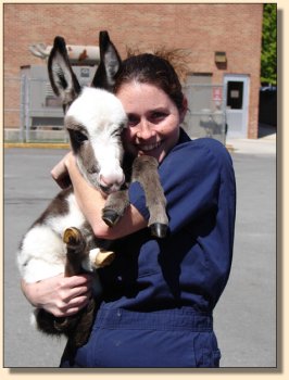 Pony-Tail and h er favorte vet techs at UT