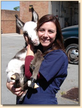 Pony-Tail and h er favorte vet techs at UT