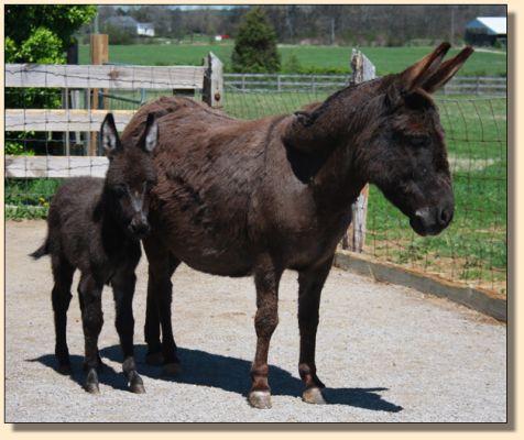 Miss Magnificent and Mom, Oprah on 4-01-09