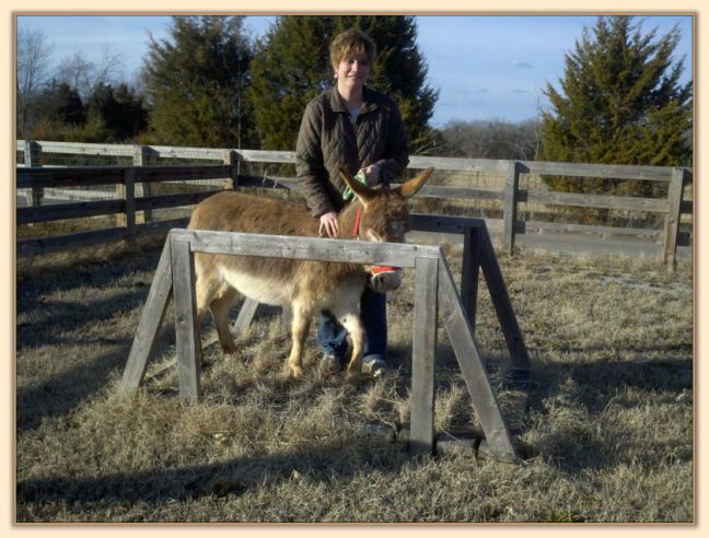 Moneypenny's first obstacle lesson!