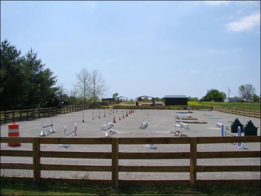 Our new arena at Half Ass Acres Miniature Donkey Farm