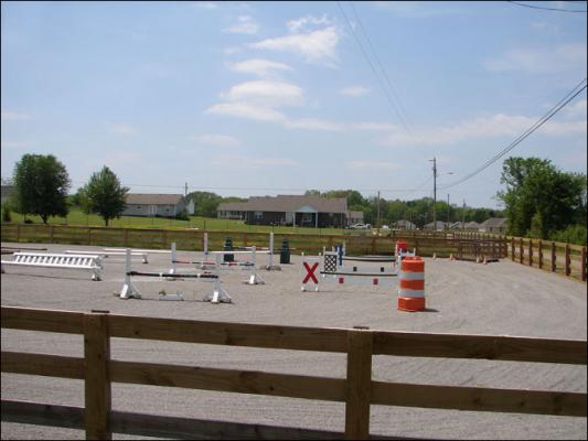 Our new arena at Half Ass Acres Miniature Donkey Farm