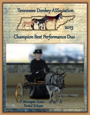 Mookie - 2013 Champion Performance Duo