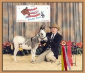 Itsy Bitsy Puzzles, 2008 Reserve ACOSA Champion Jennet