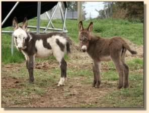 Red Ray with her best friend, Rainbow