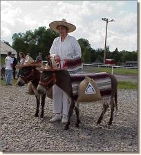 My World Paco & My World Diablo & Lydia Spears winning 5th place in costume!