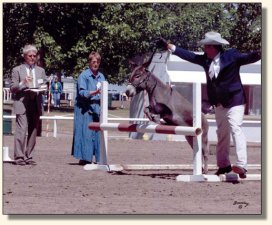 Circle C Jose & Wayne Lyon  - Coon Jumpiing